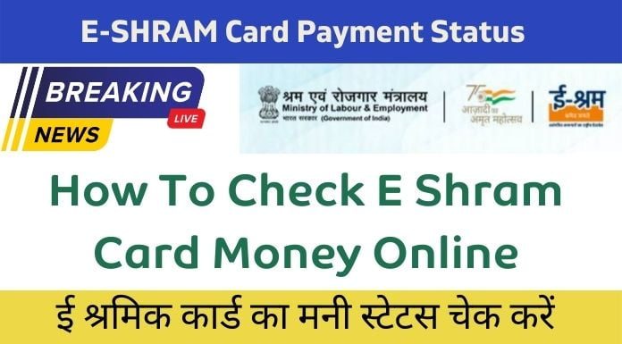 How To Check E Shram Card Money Online