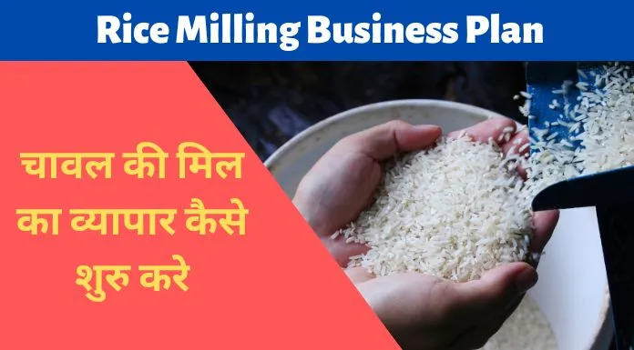 Rice Milling Business Plan