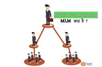 what is mlm in hindi